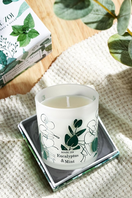 Scented Candle - Eucalyptus & Mint - 6Oz Aromatherapy Soy Wax Jar Candle for Hom