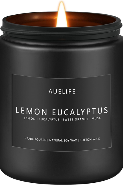 Lemon Lavender Candle | Scented Candles for Home, Aromatherapy Gifts - Soy Candl