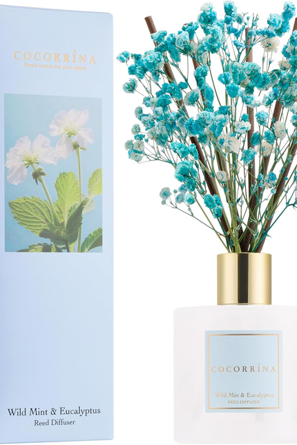 Clean Linen Scented Reed Diffuser Oil with 8 Sticks Fragrance for Bedroom, Bathr