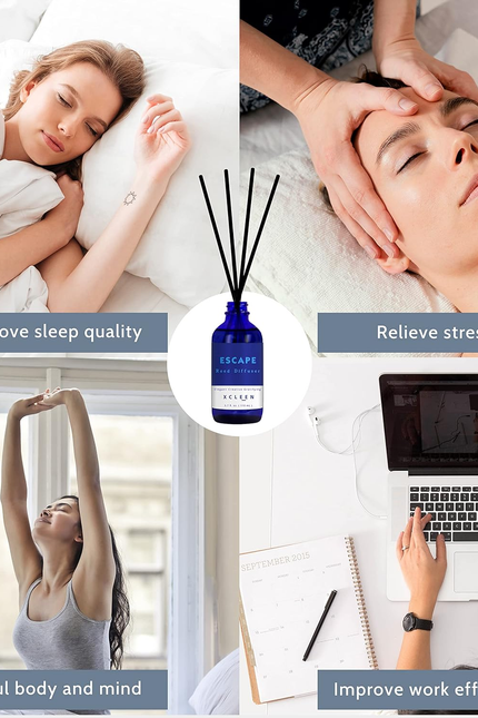 Reed Diffusers Set, 3.7 Oz Scent Diffuser, 6 Reed Diffuser Sticks, Home Fragranc