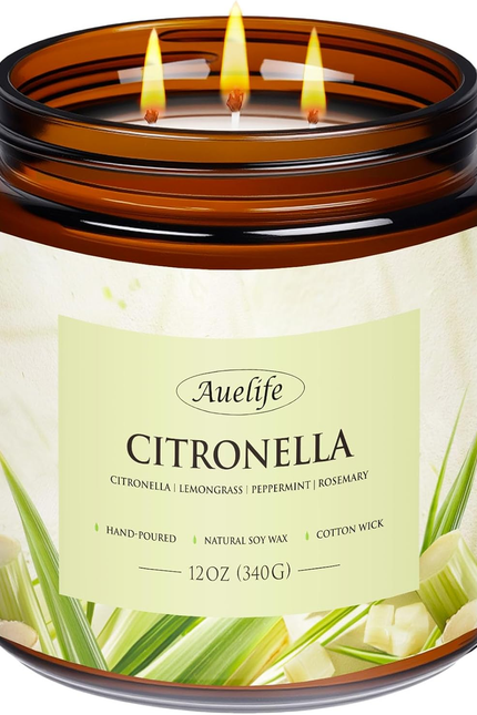 Scented Candle for Home | Sage Citrus Candle | Aromatherapy Candles - Soy Candle