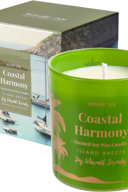 Scented Candle - Eucalyptus & Mint - 6Oz Aromatherapy Soy Wax Jar Candle for Hom