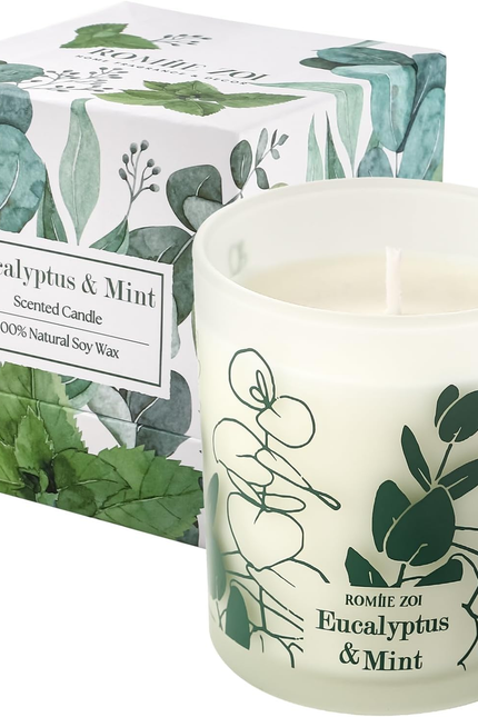 Scented Candle - Eucalyptus & Mint - 6Oz Aromatherapy Soy Wax Jar Candle for Hom