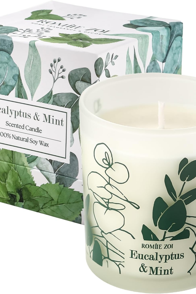 Scented Candle - Eucalyptus & Mint - 6Oz Aromatherapy Soy Wax Jar Candle for Hom
